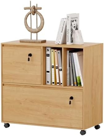 File Cabinet Lateral - 2 Drawer Mobile File Cabinet with
