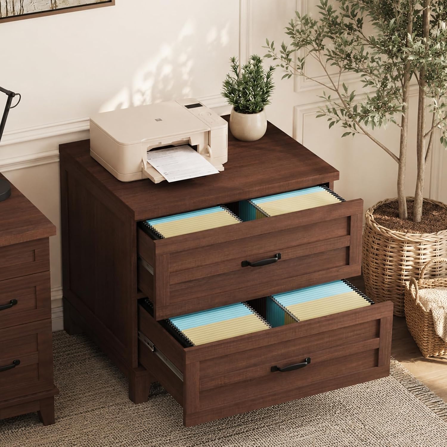 Garvee 2 Drawer Farmhouse Late - File Cabinet Lateral review and price