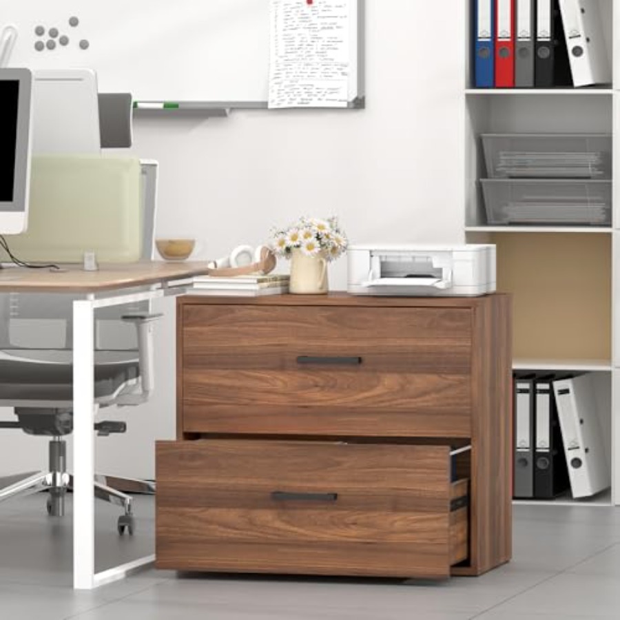 Lateral File Cabinet, 2 Drawer - File Cabinet Lateral review and price