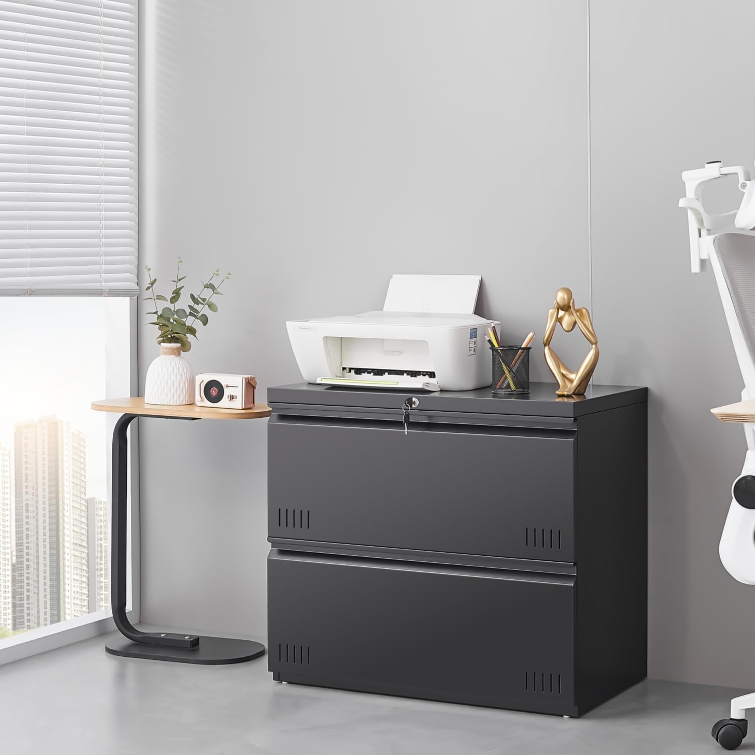 2 Drawer Lateral File Cabinet  - File Cabinet Lateral review and price
