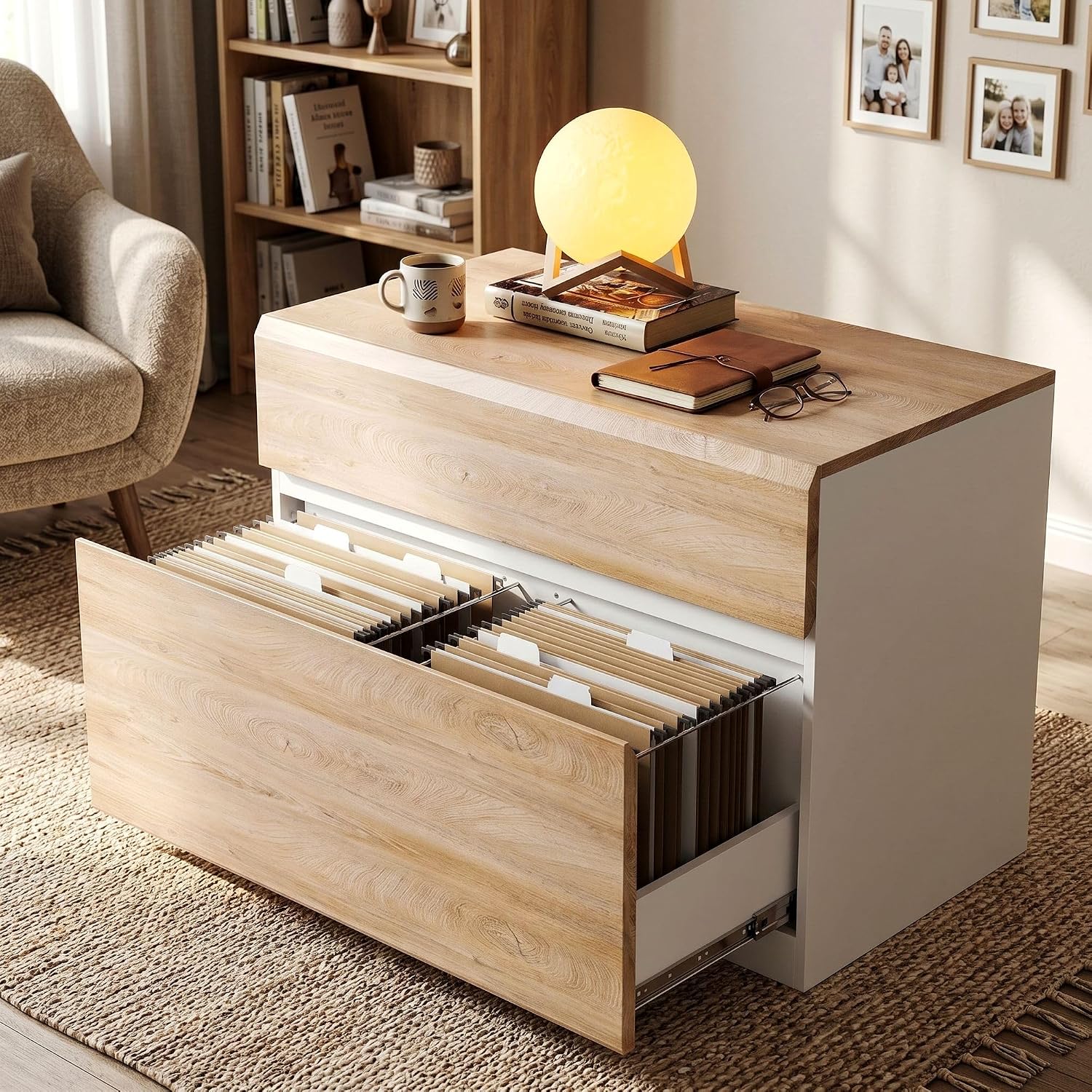 2 Drawer Lateral File Cabinet  - File Cabinet Lateral review and price