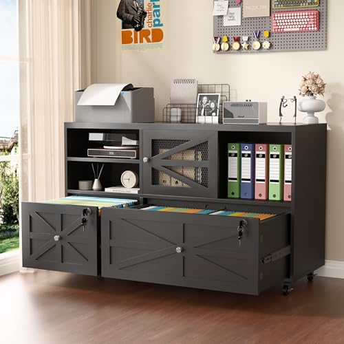2 Drawer Farmhouse File Cabine - File Cabinet Lateral review and price