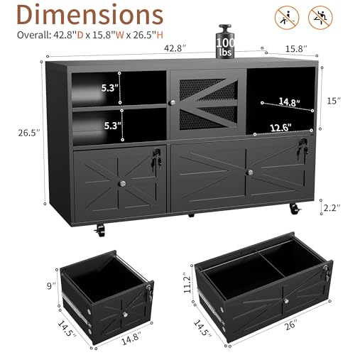 2 Drawer Farmhouse File Cabine - File Cabinet Lateral review and price