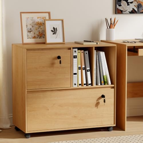 2 Drawer Mobile File Cabinet w - File Cabinet Lateral review and price