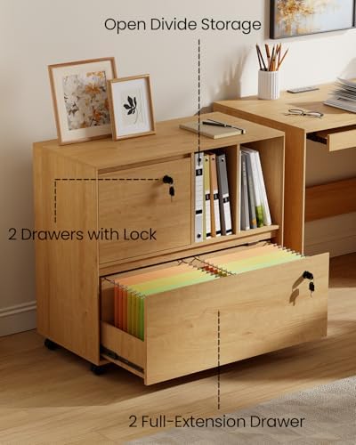 2 Drawer Mobile File Cabinet w - File Cabinet Lateral review and price